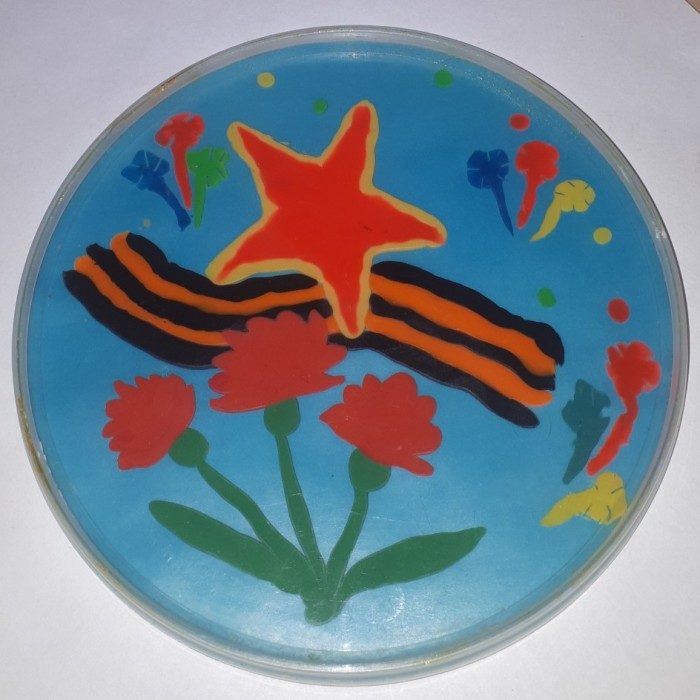 Цветочный диск из пластилина