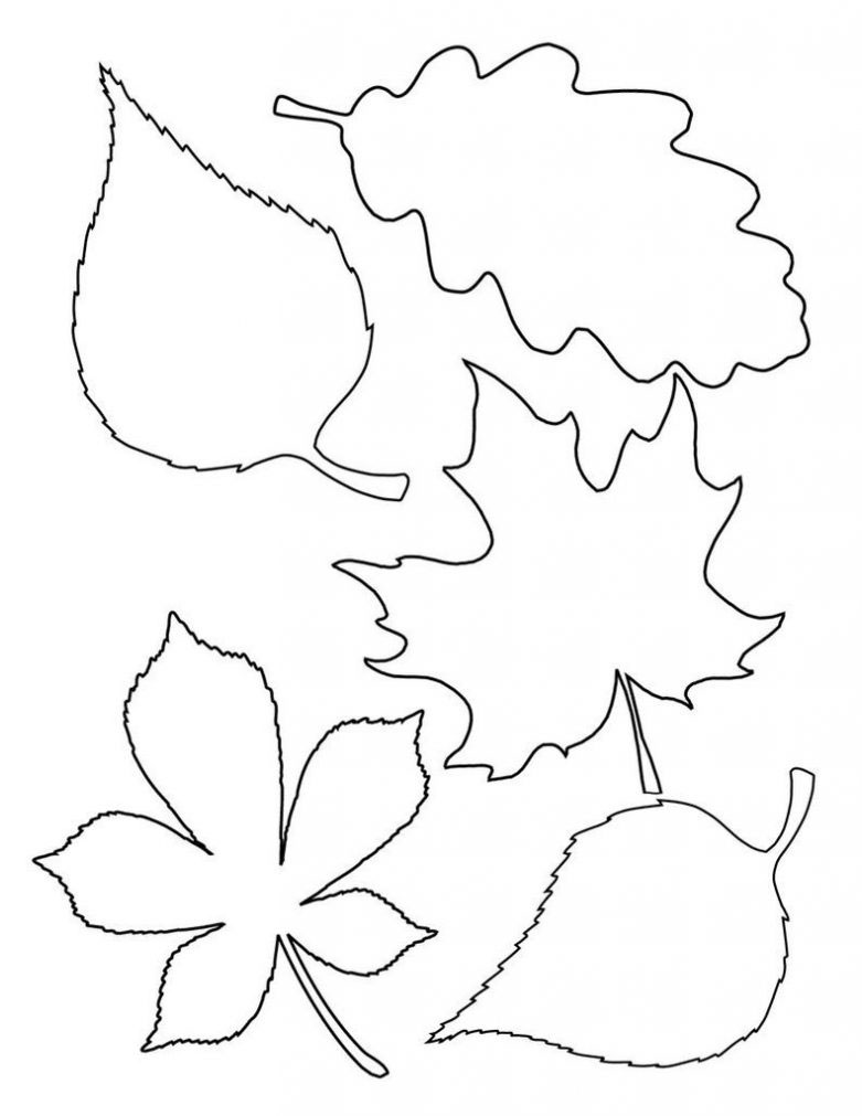 листья шаблон