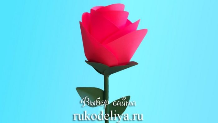 Реалистичная роза